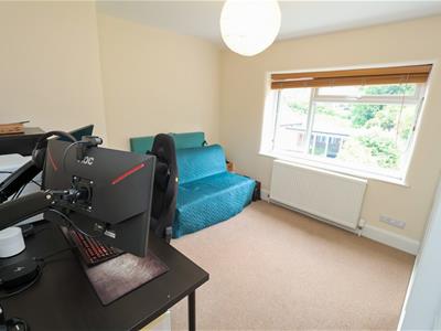 Picture 20